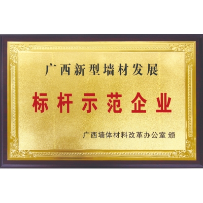 廣西新型墻材發(fā)展標(biāo)桿示范企業(yè)